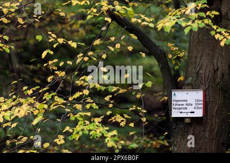 Segnaletica per sentieri escursionistici sulle montagne Harz Foto Stock