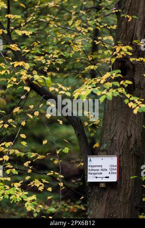 Segnaletica per sentieri escursionistici sulle montagne Harz Foto Stock