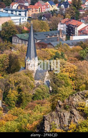 Bode Valley in autunno Harz Foto Stock