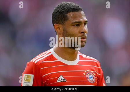 Serge Gnabry FC Bayern Muenchen FCB (07) Ritratto, Allianz Arena, Monaco, Baviera, Germania Foto Stock