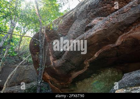 Naka grotta gigante pietra serpente scala. Nel parco nazionale Phu Langka, Buangkan Thailandia. Foto Stock