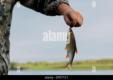 Pescatore che tiene il pesce sulla lenza di pesca in mano sulla riva del fiume, primo piano. IDE di piccole dimensioni (Leuciscus idu) in mano maschio all'aperto Foto Stock