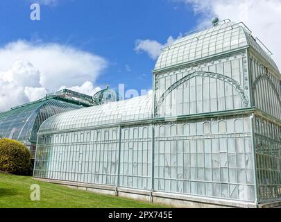 Royal Garden Conservatory di Laeken, Bruxelles, Belgio Foto Stock