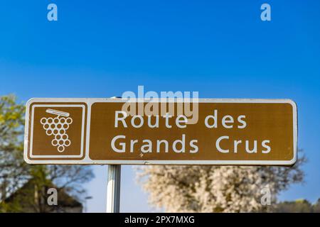 Strada del vino (Route des Grands Crus) nei pressi di Beaune, Borgogna, Francia Foto Stock