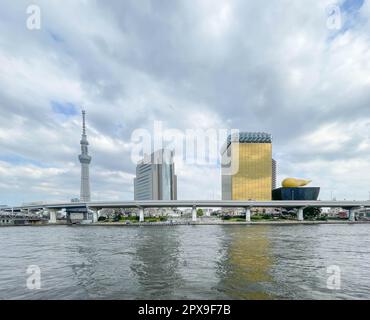 Una clip del punto turistico e della torre delle cellule Tokyo Skytree dall'altra parte del Fiume Sumida con i fiori di ciliegio in fiore. Foto Stock