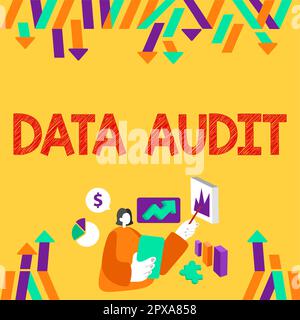 Segno di testo che mostra Data Audit, Word per il controllo dei dati per valutarne la qualità per uno scopo specifico Foto Stock