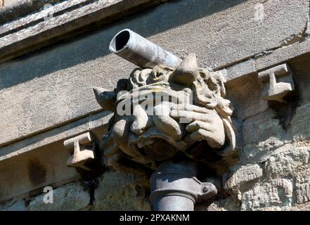 Gargoyle sulla St Botolph's Church, Barton Seagrave, Northamptonshire, England, Regno Unito Foto Stock