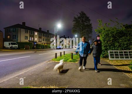 Una famiglia cammina il loro cane nel tardo buio di sera, camminando lungo un sentiero Foto Stock