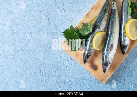 Sgombro crudo sale di pesce intorno su sfondo blu Foto Stock