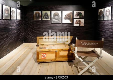 Nella mano di King Kong, mostra di King Kong, Museo Cineteca Milano, MIC, Milano, Lombardia, Italia, Europa Foto Stock