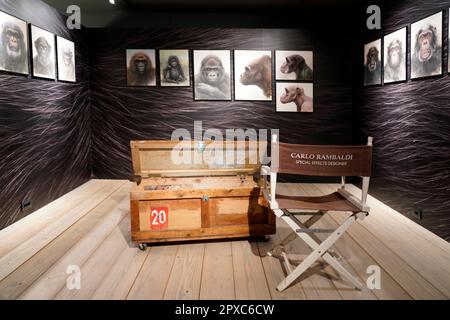 Nella mano di King Kong, mostra di King Kong, Museo Cineteca Milano, MIC, Milano, Lombardia, Italia, Europa Foto Stock