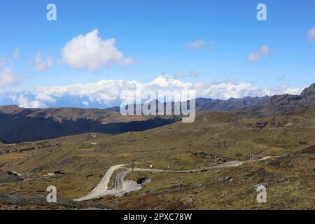 Monte Kangchenjunga, passo natula, Zuluk, Sikkim orientale, Pangolakha Wildlife Sanctuary, India Foto Stock