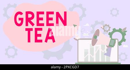 Testo che mostra ispirazione tè verde, parola scritta su tipo di tè che è fatto da Camellia sinensis foglie e germogli Foto Stock