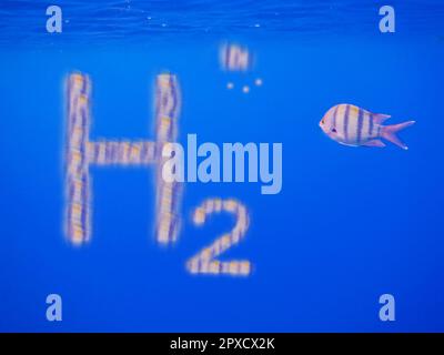 3D illustrazione energia pura rinnovabile H2 idrogeno e un pesce sergente indopazifico in acqua blu Foto Stock