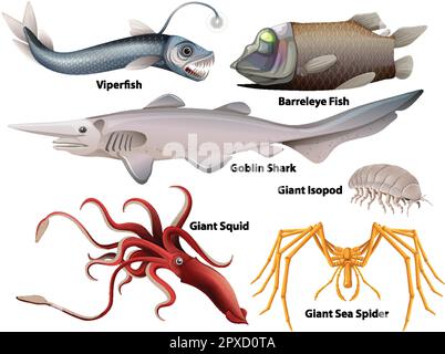Illustrazione della collezione Deep Sea Creatures Illustrazione Vettoriale