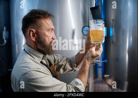Birreria che guarda la birra appena fatta in tazza di vetro. Concetto di processo tecnologico della fabbrica di birra Foto Stock