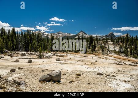 Pietre glaciali disseminate lungo il Young Lakes Trail nel Parco Nazionale di Yosemite Foto Stock