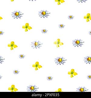 Carino daisy fiori estate senza cuciture motivo acquerello texture Foto Stock