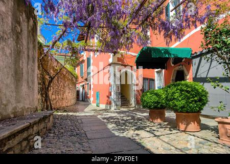 Strada stretta tra case colorate sotto fiori appesi sull'Isola dei pescatori sul Lago maggiore. Foto Stock