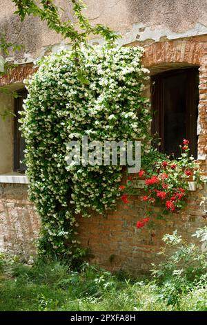 Artisti artigiani del Chiostro - ex convento SS. Cosma e Damiano, Giudecca, Venezia, Veneto, Italia, Europa Foto Stock