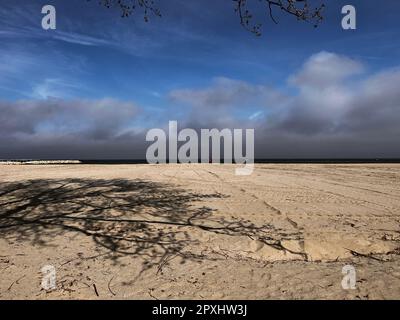 Un albero arido si erge contro un mare nuvoloso su una spiaggia sabbiosa a Mangalia, Romania Foto Stock