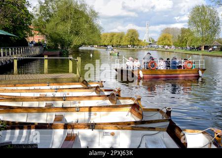 Traghetto a motore alimentato da un uomo a catena che attraversa il fiume Avon con passeggeri a Stratford Upon Avon Inghilterra UK Foto Stock