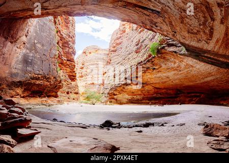 Cattedrale Gorge Cave nel Purnululu National Park Western Australia. Foto Stock