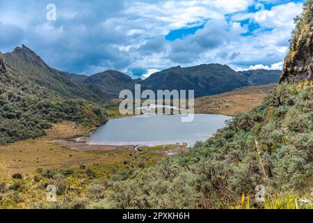 Cayambe Coca Riserva ecologica in Ecuador. Foto Stock