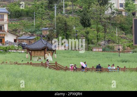 Chongqing, Chongqing cinese. 2nd maggio, 2023. I turisti visitano il Villaggio Longchi nella Contea di Wuxi, Chongqing, Cina sudoccidentale, 2 maggio 2023. La Cina sta assistendo a un boom dei viaggi durante le cinque giorni di vacanza del giorno di maggio di quest'anno. Credit: Notizie dal vivo su Huang Wei/Xinhua/Alamy Foto Stock