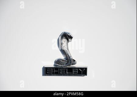 Logo Ford Shelby in cobra su sfondo bianco Foto Stock