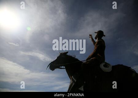 conde, bahia, brasil - 8 gennaio 2022: Cowboy che indossa abiti tradizionali in pelle con il suo cavallo in una fattoria nella città di Conde. Foto Stock