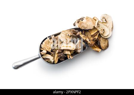 Vari funghi secchi tagliati a fette in scoop isolato su fondo bianco. Foto Stock
