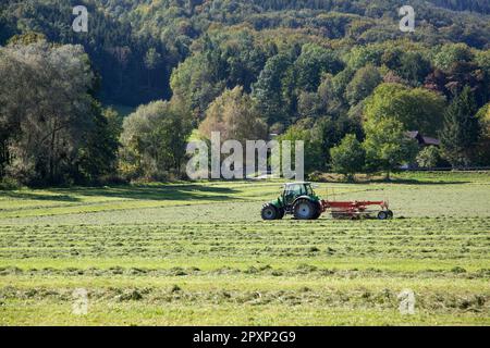 Trattore con spargifieno su campo agricolo Foto Stock