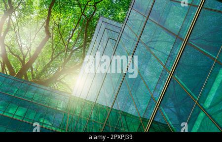 Edificio verde e di sostenibilità. Edificio ecologico nella città moderna. Edificio sostenibile in vetro per uffici con albero per ridurre il biossido di carbonio. Ufficio Foto Stock