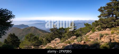 Peñas Blancas, en Sierra Bermeja. Estepona. Málaga. Andalucía. España Foto Stock