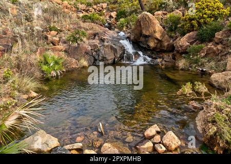 Peñas Blancas, en Sierra Bermeja. Estepona. Málaga. Andalucía. España Foto Stock