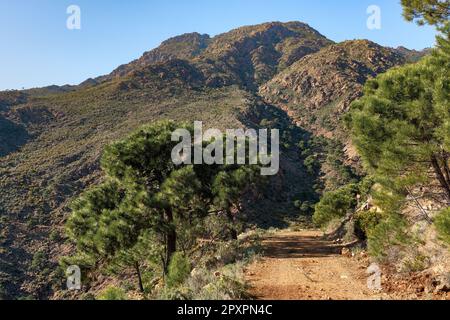 Peñas Blancas, en Sierra Bermeja. Estepona. Málaga. Andalucía. España Foto Stock