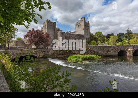 Castello di Cahir (Caisleán na Cathrach) una fortezza fluviale del 12th ° secolo sul fiume Suir, Cahir, Contea Tipperary Foto Stock