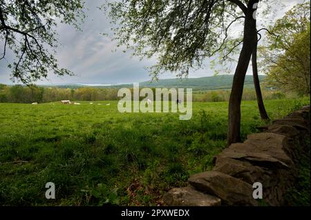 Stati Uniti: Aprile, 15 2023: Millville Road vicino Upperville. Foto di Douglas Graham Foto Stock