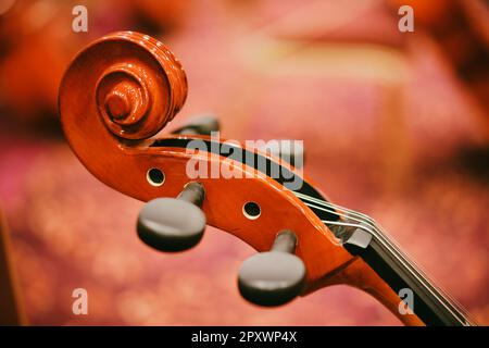 Scroll violoncello su headstock e perni di sintonizzazione. Foto Stock