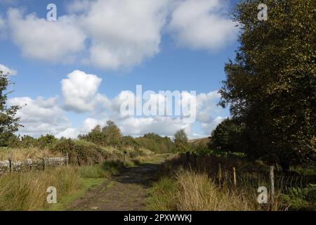 Sentiero White Coppice The West Pennine Moors Lancashire England Foto Stock