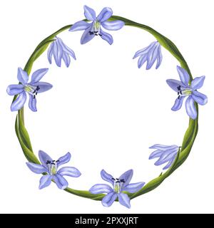 Cornice rotonda corona foresta fiori blu Scilla Siberica bifolia. Pittura ad acquerello disegnata a mano su sfondo bianco. Per la creazione di inviti, messaggio di saluto Foto Stock