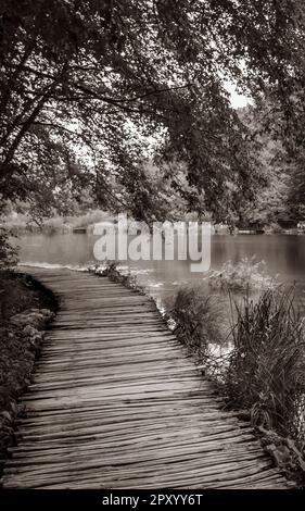 Paesaggio con passerella sopra le acque turchesi. Parco Nazionale dei Laghi di Plitvice in Croazia. Foto Stock