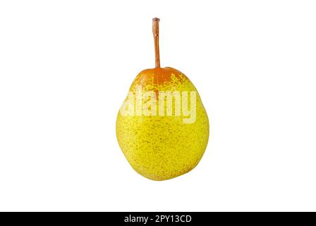 Frutta matura di pera Rocha isolata su bianco. Pera verde gialla macchiata. Foto Stock