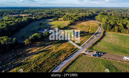 Veduta aerea degli allineamenti in pietra Carnac di Kermario nel Morbihan, Francia - Menhir preistorici e megaliti in file in Bretagna Foto Stock