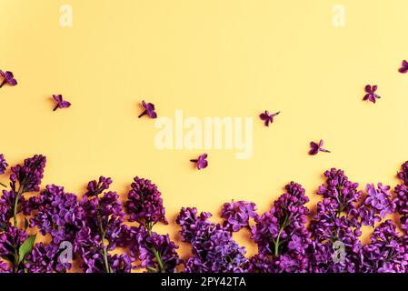 Fiori di lilla su sfondo giallo. Pasqua, Festa della mamma, Festa della donna, biglietto di auguri di San Valentino. Vista dall'alto, disposizione piatta, spazio di copia. Foto Stock