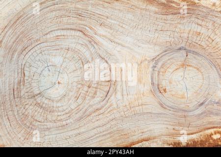 Sezioni di moncone in legno di teak duro con crepe, anelli annuali e superficie testurizzata - fustellati per tavoli e altre produzioni in fabbrica Foto Stock