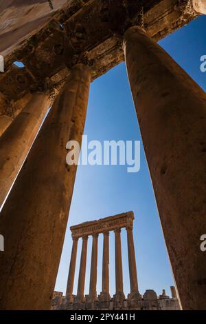 Baalbek, colonne, tempio romano di Bacco, Tempio di Giove sul retro, valle di Bekaa, Baalbek, Governatorato di Baalbek-Hermel, Libano, medio Oriente, Asia Foto Stock