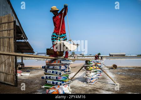 Ban Laem, Thailandia. 25th Apr, 2023. Un lavoratore porta backsets pieno di sale dopo la raccolta nel campo di sale. Il distretto di Ban Laem, nella provincia di Petchaburi, ha una delle più grandi industrie di produzione di sale della Thailandia, dove la gente sta ancora lavorando duramente perché l'agricoltura è uno stile di vita per secoli, dimostrando saggezza, trasferimento di conoscenze dall'esperienza, osservazione e dipendenza dalla natura. Credit: SOPA Images Limited/Alamy Live News Foto Stock