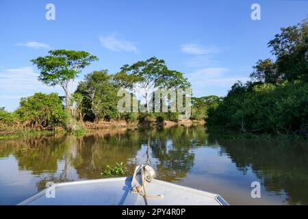 Vista di un tipico fiume Pantanal da una barca in una giornata di sole, Pantanal Wetlands, Mato Grosso, Brasile Foto Stock